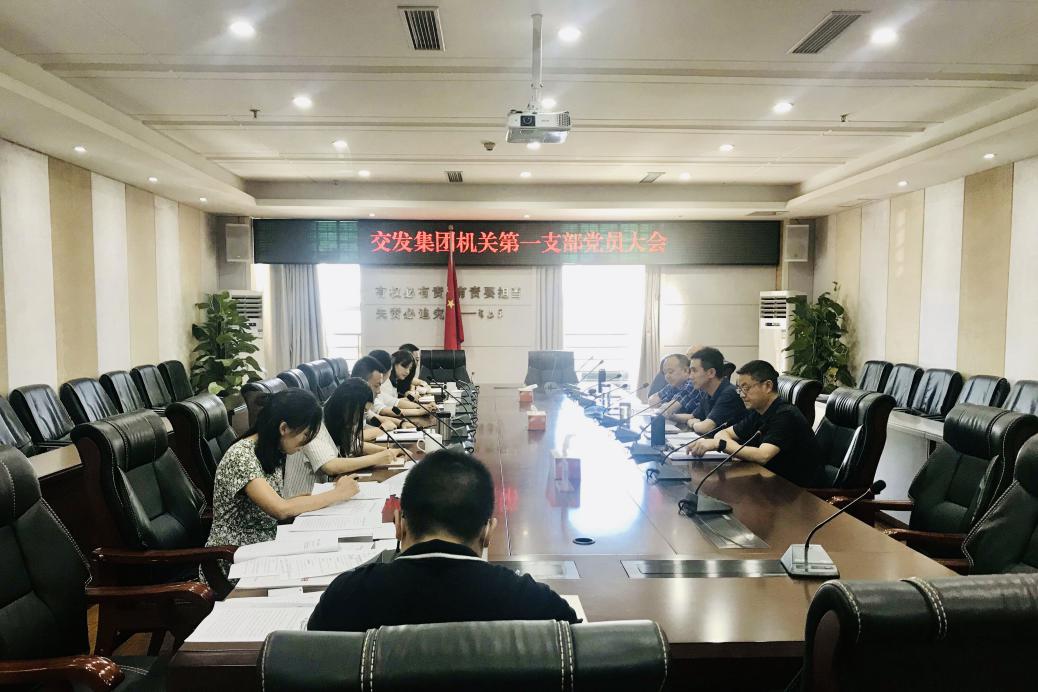 機關(guān)黨總支開展紀(jì)念慶祝建黨99周年主題黨日活動2.jpg 524cf28e8d3f50a256717793ef40b6e2.jpg