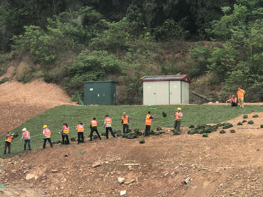 路橋公司認真高效完成S205線老龍山隧道護坡綠化工作1.jpg 5cc4c62cd4a7f8d1b5f7753885542c2f.jpg